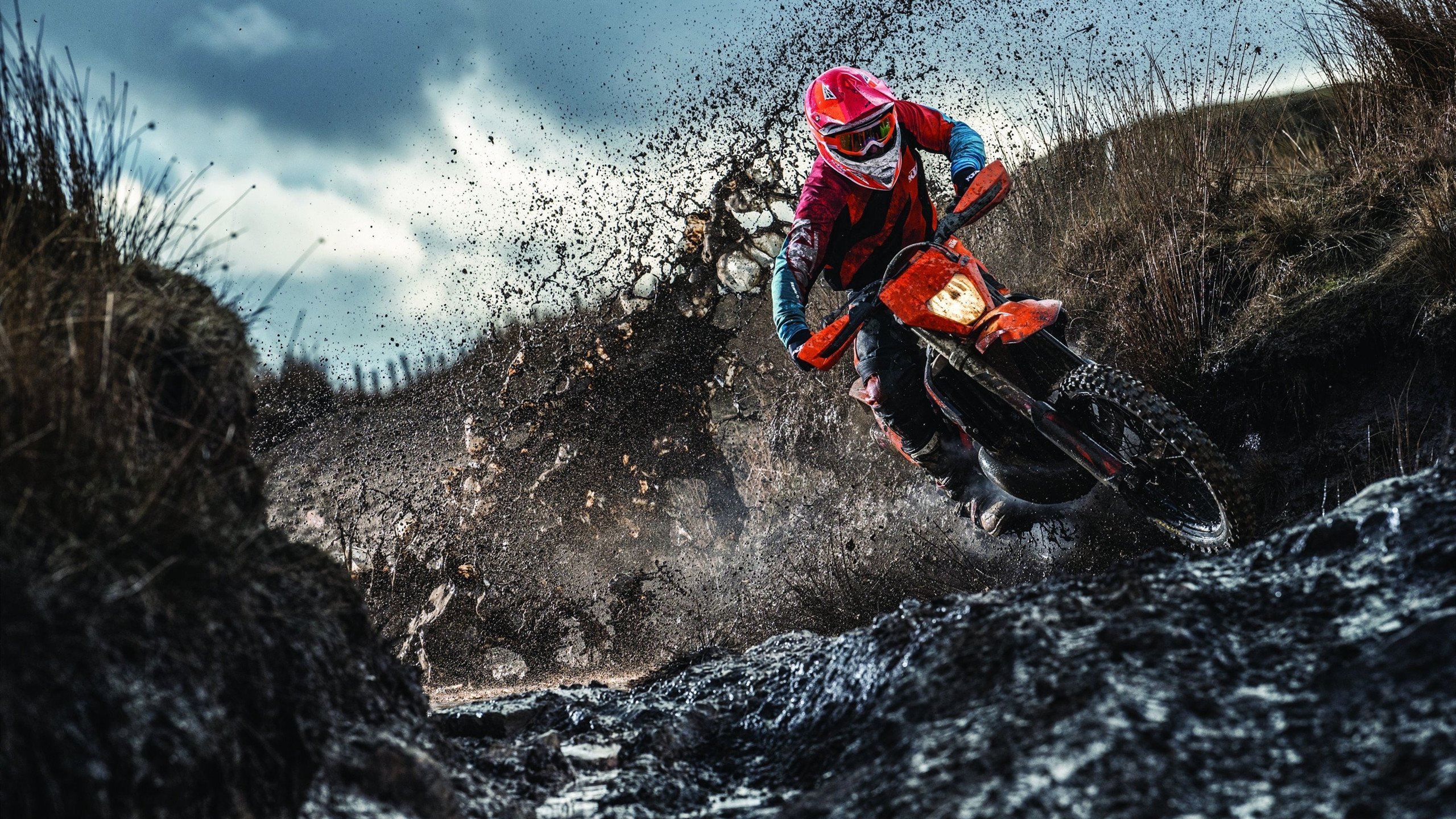 时空错位的狂欢，当开拓者狂胜浙江队，我们到底在讨论什么？